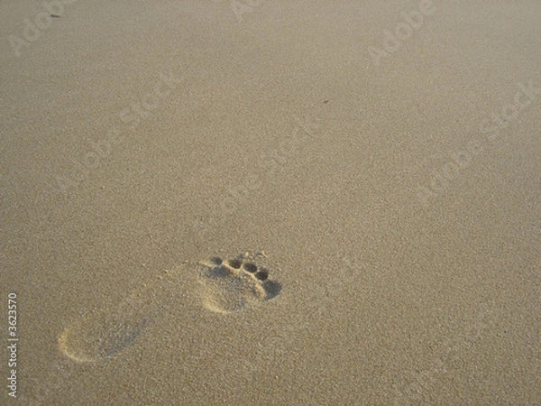 Fototapeta empreinte