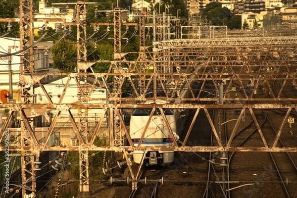 Obraz 高架線と特急