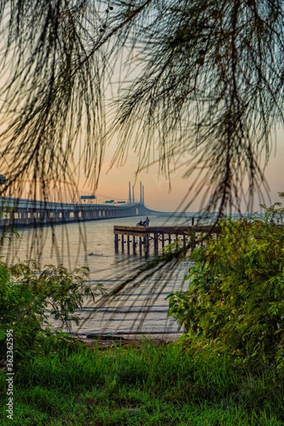 Fototapeta Magnificent Penang second bridge captured with a nature framing technique. Soft focus effect due to close up shot with large aperture setting