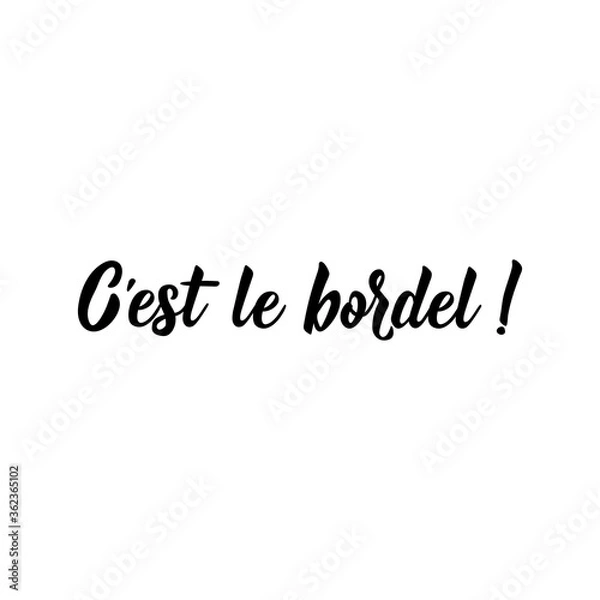 Fototapeta It's a mess in French language. Lettering. Ink illustration. Modern brush calligraphy.