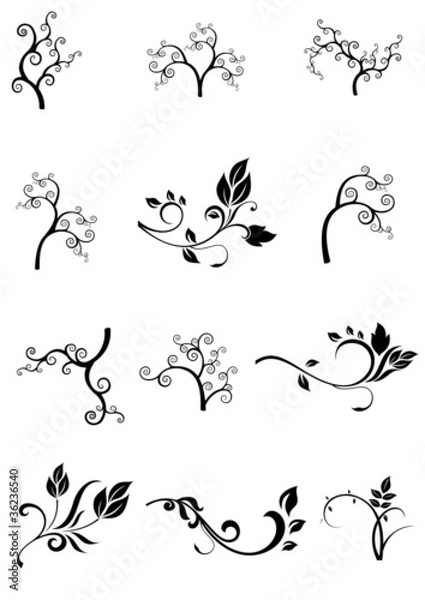 Obraz Zweige und Blätter