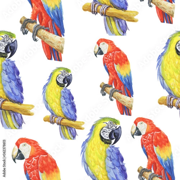 Obraz tropical parrot pattern watercolor silhouette tropical birds animals isolate object background 