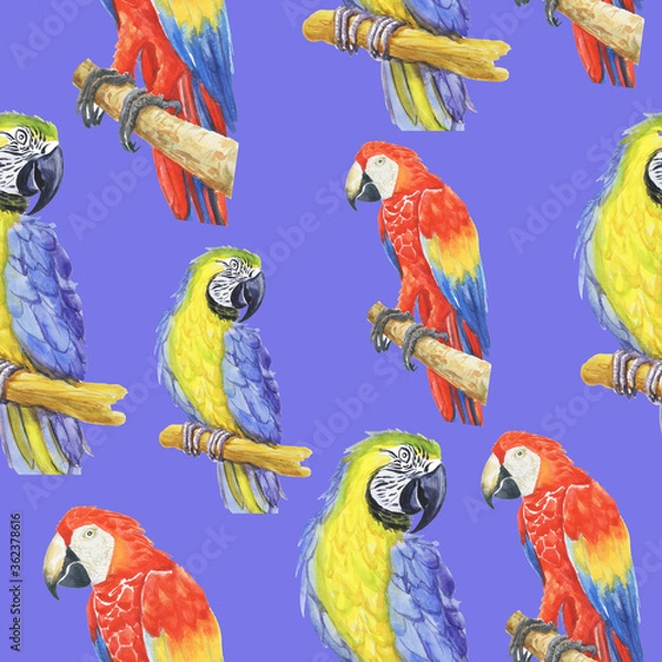 Obraz tropical parrot pattern watercolor silhouette tropical birds animals isolate object background 