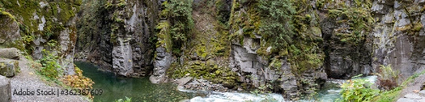 Obraz Water stream in a green forest