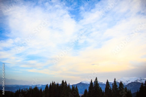 Obraz A tree with a mountain in the background