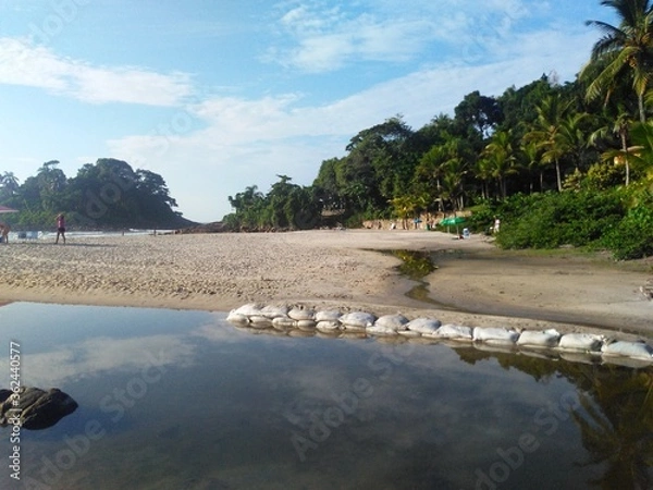Obraz tropical beach with palm trees