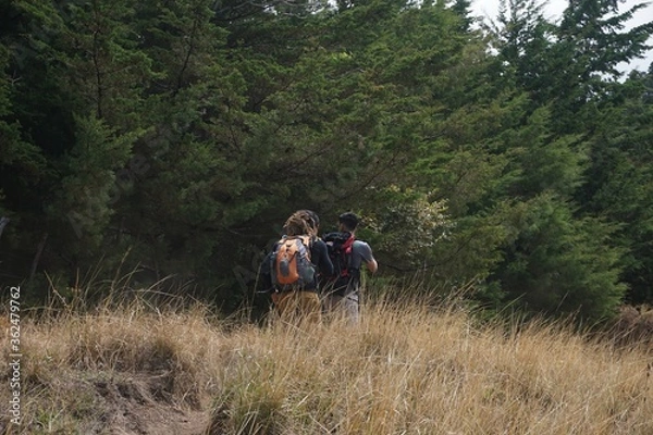 Obraz hikers walking through a forest