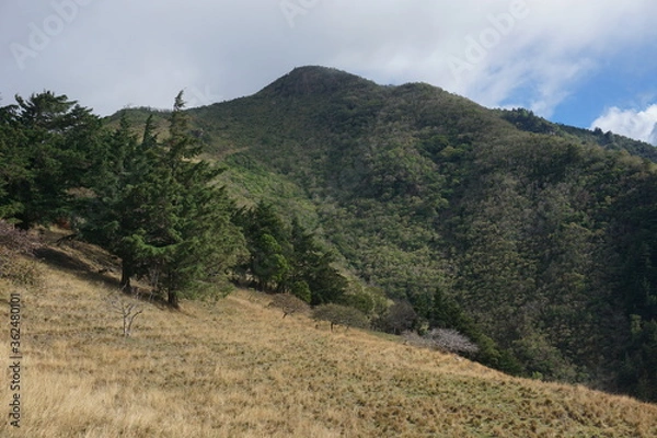 Obraz landscape in the mountains
