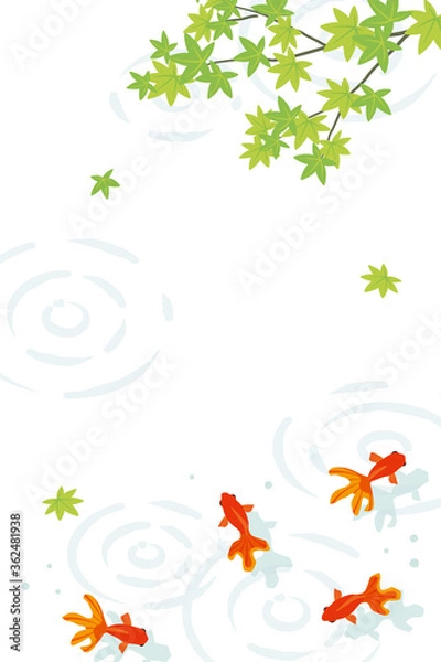 Fototapeta Vector goldfish and green leaves background illustration