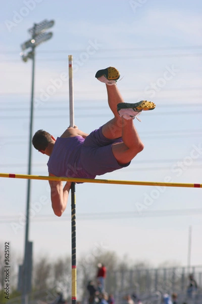 Obraz A Pole Vault