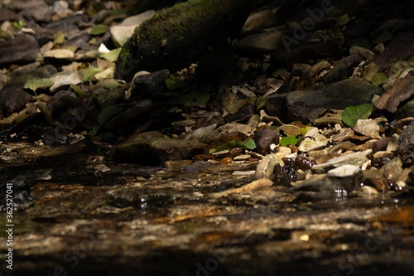 Fototapeta Wassersteine