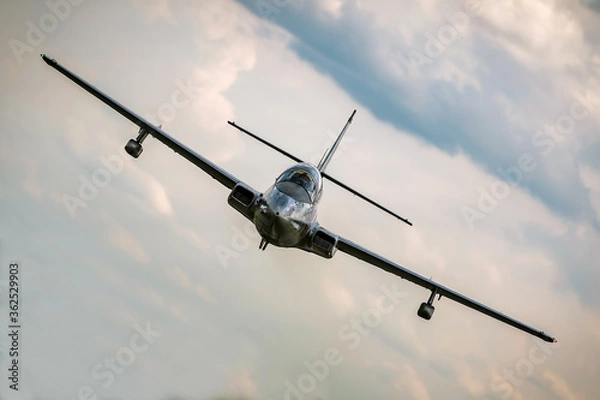 Obraz TS-11 ISKRA