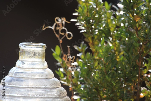 Obraz Glas und Natur