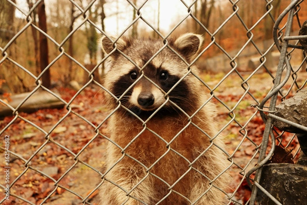 Obraz Gefangener Nr. 147