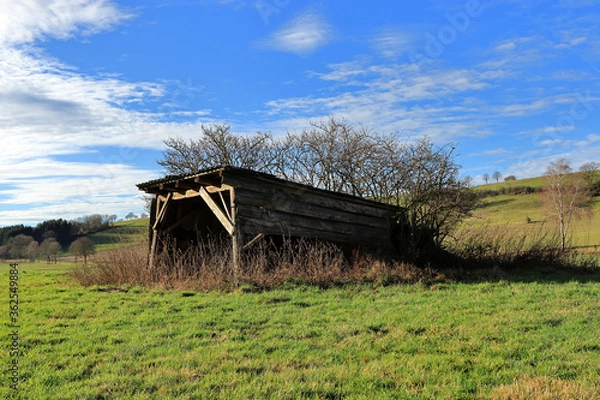 Obraz Die alte Hütte