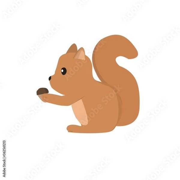 Fototapeta Squirrel Illustration