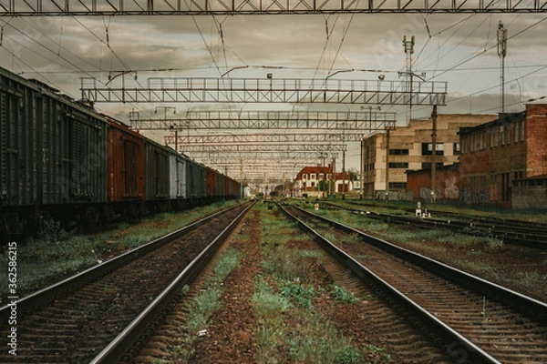 Fototapeta Aerial view of a cargo trains. Colorful freight trains on the railway station. Heavy industry.