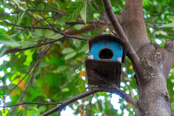 Fototapeta Bird house on the tree