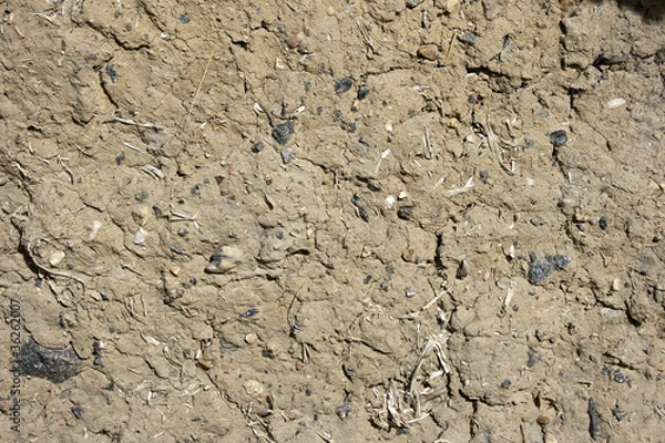 Fototapeta Daub Texture