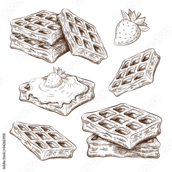 Obraz Hand drawn cute waffles isolated on white. vector sketch of belgium wafers in vintage engraved style. sweet pastry ink illustration. dessert collection for label, logo, bakery menu, posters design ect