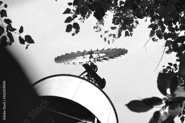 Obraz black and white Windmill