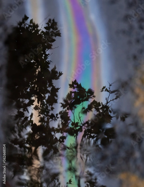 Fototapeta Reflection