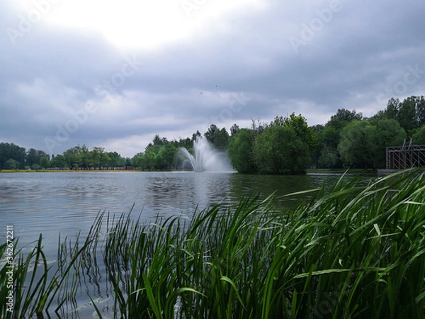 Fototapeta Fountain on the pond, plants and trees in the city Park. A place to relax in a city Park.