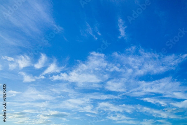 Obraz background[autumn_sky]_02