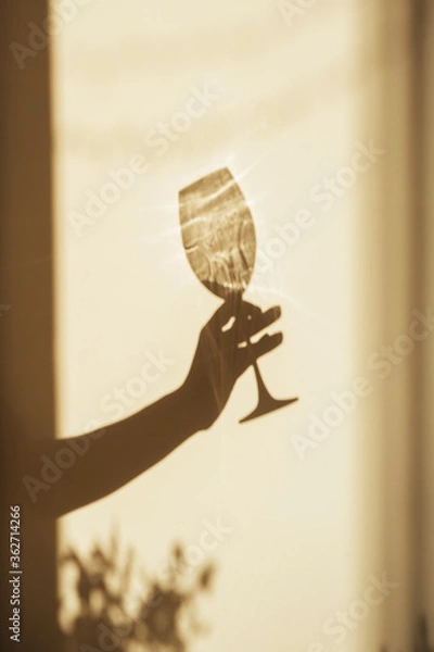 Fototapeta Shadow of a hand with a glass of wine on the light wall