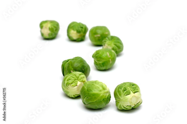 Fototapeta brussel sprouts in a row
