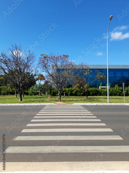 Obraz Faixa de pedestre