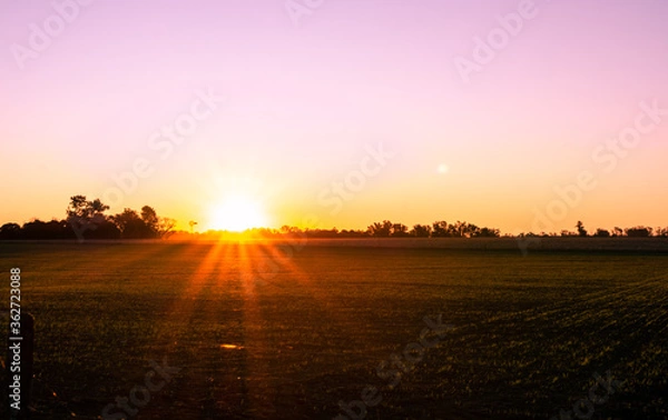 Obraz sunset over the field