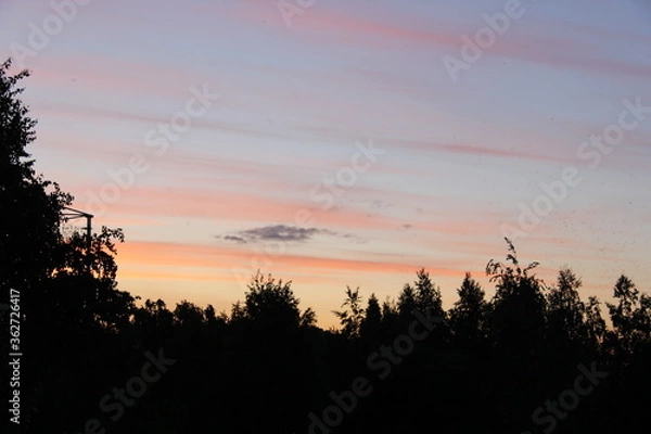 Obraz sunset in the field