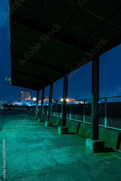 Obraz Night View 010