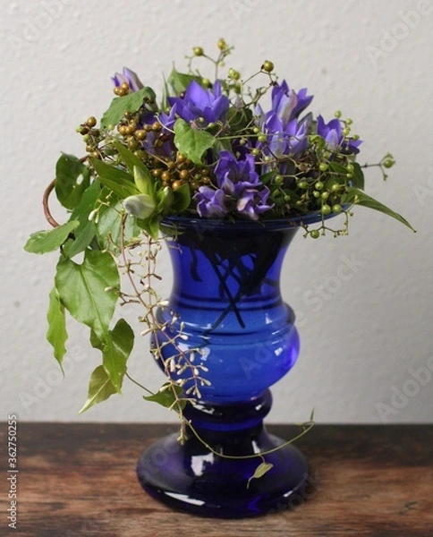 Obraz りんどう蔓