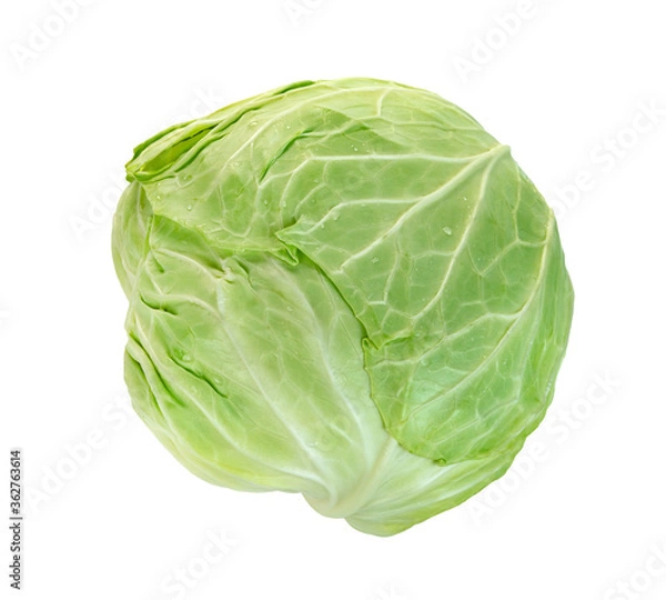Fototapeta cabbage isolated on white background ,Green leaves pattern