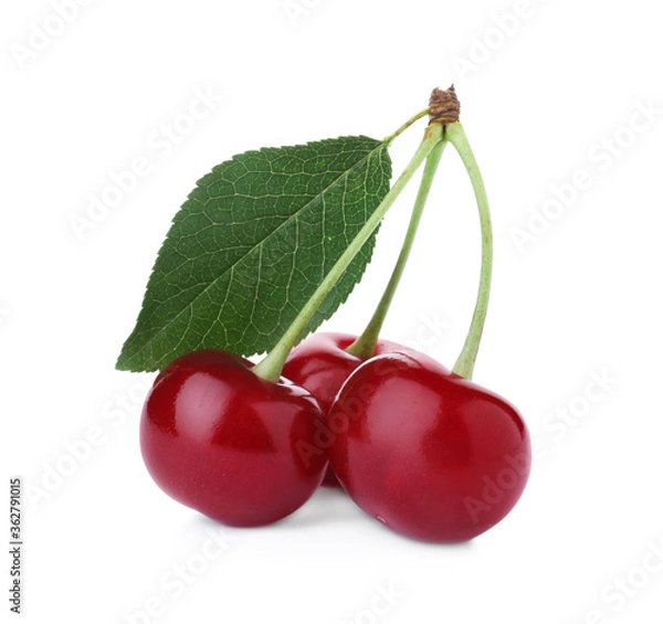 Fototapeta Sweet red cherries with leaf isolated on white