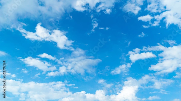 Fototapeta 青空・雲