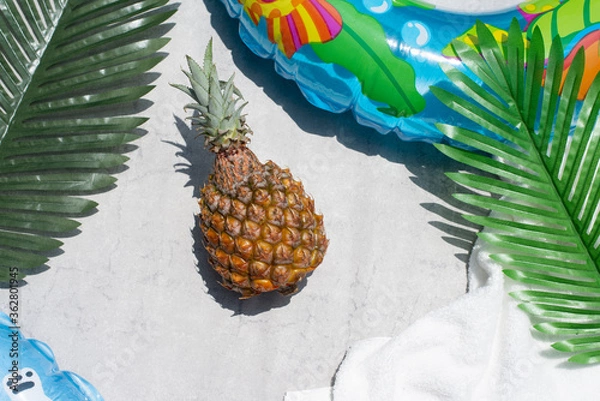 Obraz パイナップルと浮き輪