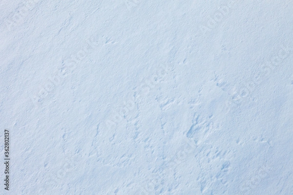 Fototapeta winter abstract background, snow texture