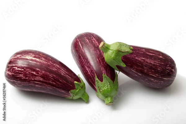 Obraz melanzane striate