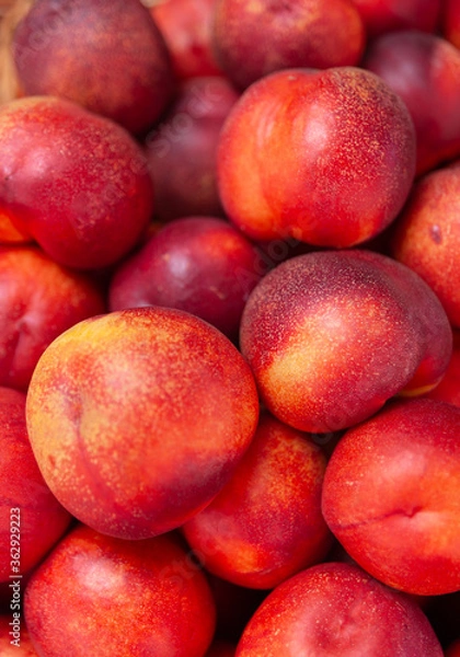 Obraz Peach fruit close-up. Texture background of ripe red peaches. Fruit Peaches. Food Image. Necktarines.