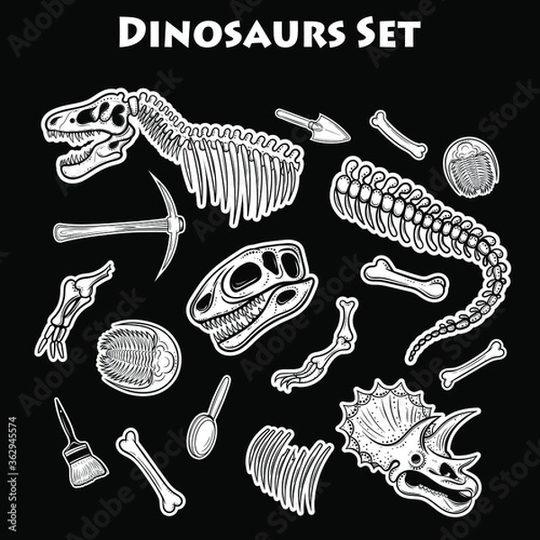 Obraz Vector Black and White Dinosaur Skeleton Set