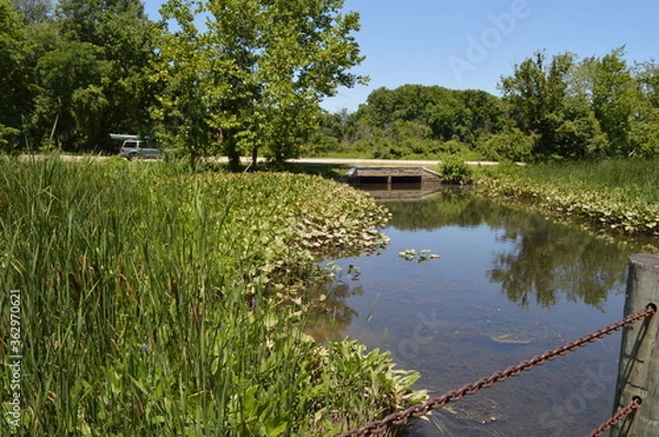 Obraz lake in the park
