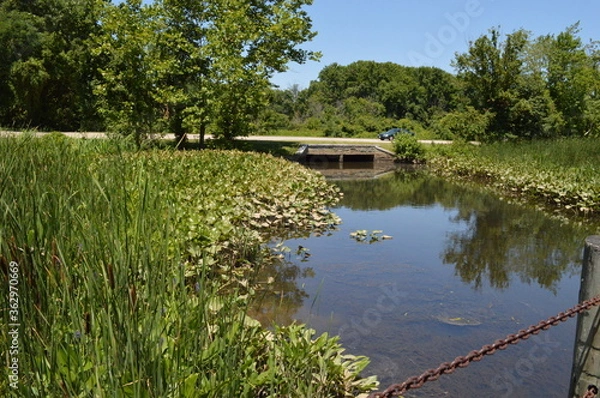 Obraz bridge over the river
