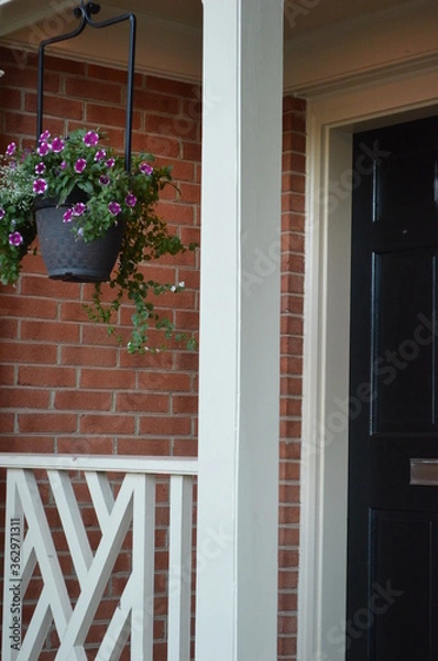Obraz door with hanging flowers