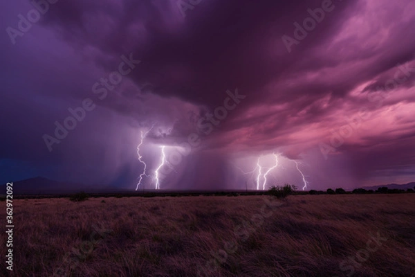 Obraz Multiple lightning strikes viewed from Coronado State Park.