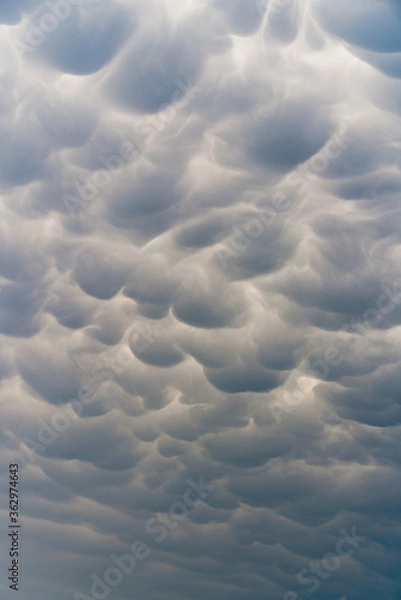 Obraz Mammatus clouds while storm chasing in Texas.