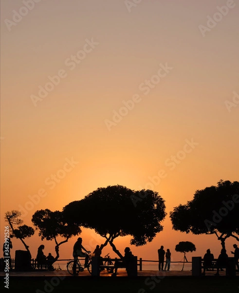 Fototapeta Sunset Silhouettes