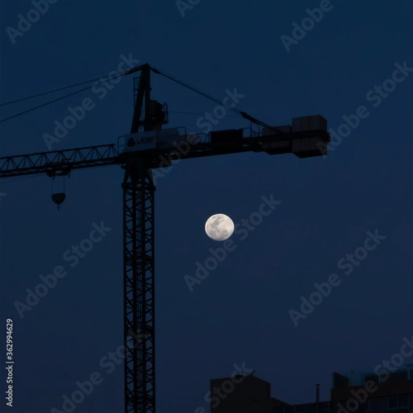 Fototapeta Moon  Crane